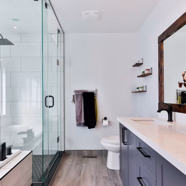 Bathroom Cleaning