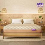 Wakefit-ErgoTech EcoLatex Plus Mattress