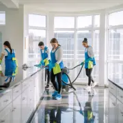 Full Home Cleaning Service